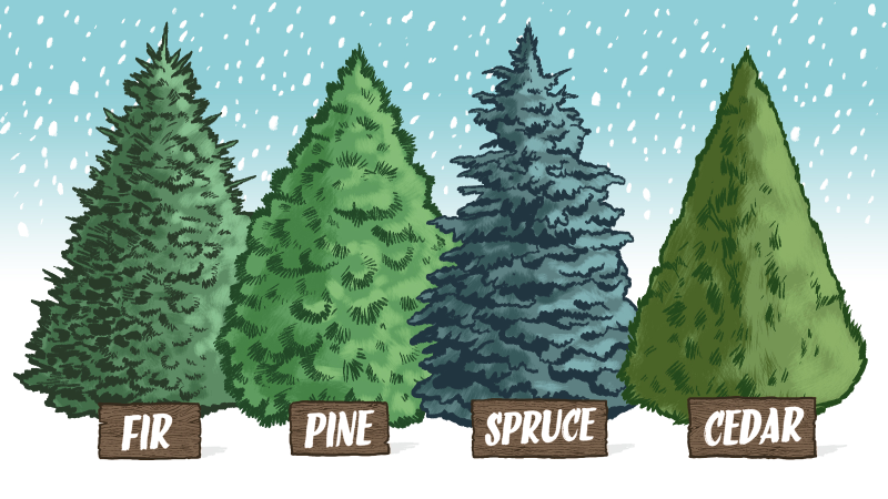 Illustration for article titled A Complete Guide to Finding and Chopping Down Your Own Tree